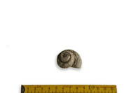 F 03851
<br/>
<br/>
<em></em>